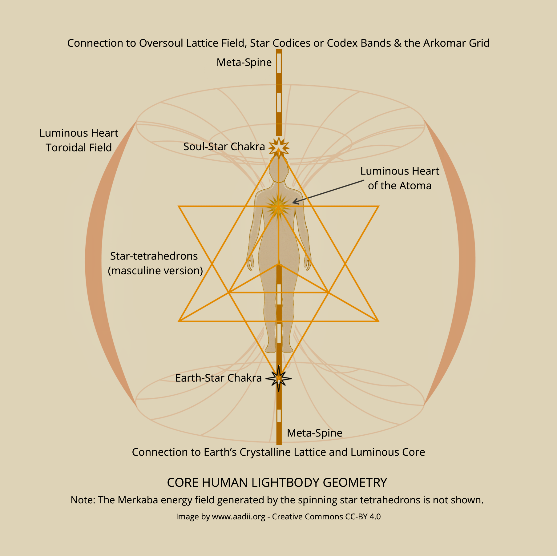 Human Lightbody Formation